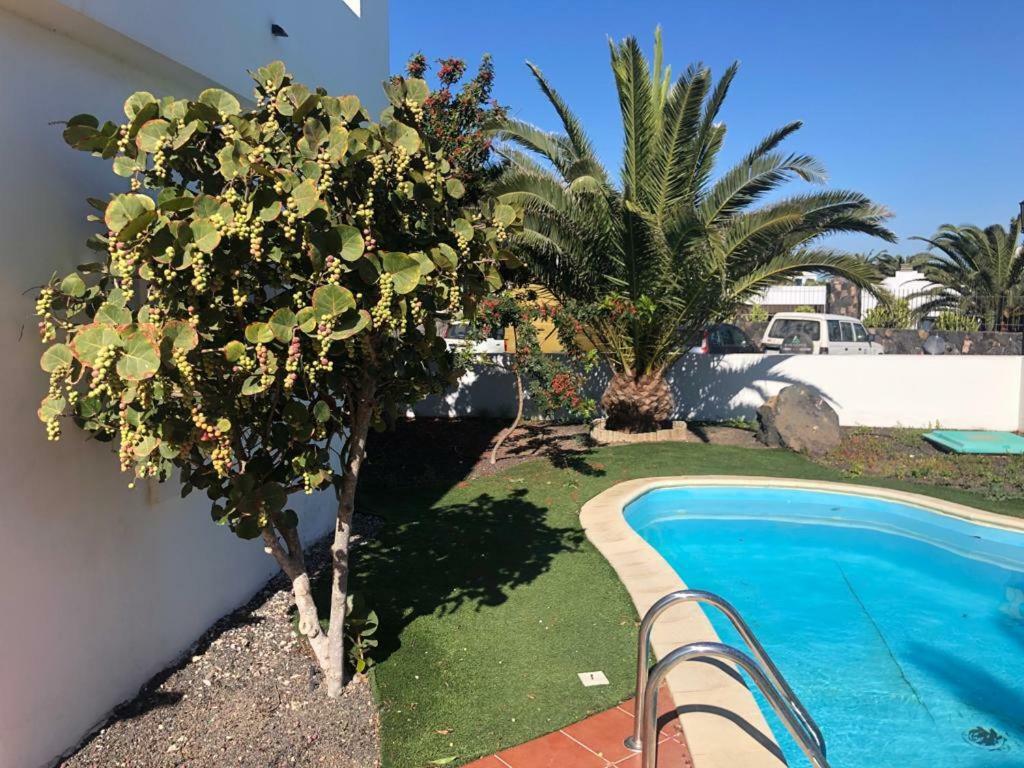 Royal Park Guesthouse Corralejo Exterior photo